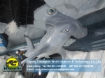 Large marine carnivorous animal Hammerhead Shark DWA134