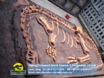 The (Jingshanosaurus) Burial Dinosaurs Fossils Model DWF009