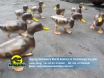 Realistic life size animal statues swimming duck DWA135