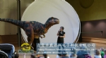 Hot sale life size Dinosaur puppet clothing T-Rex DWE3324-19