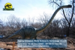 Ancient biological theme park Young Omeisaurus DWD1483