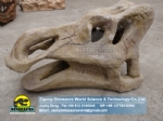 Large artificial dinosaur model Manufacturer Hadrosaurus Skull ZD08