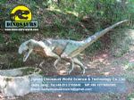 Garden Playground Animatronic Dinosaurs ( Eoraptor ) DWD015